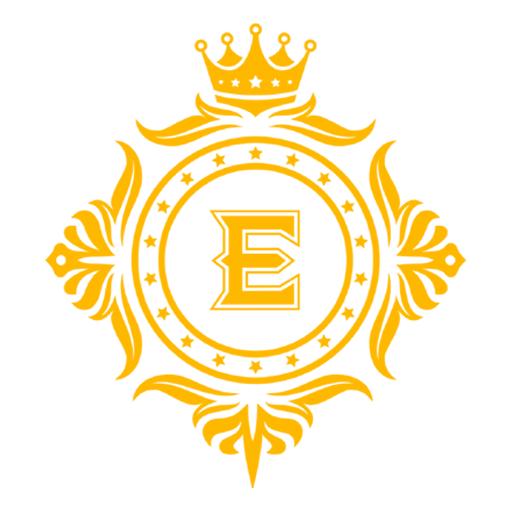 ENIGMA AI Logo